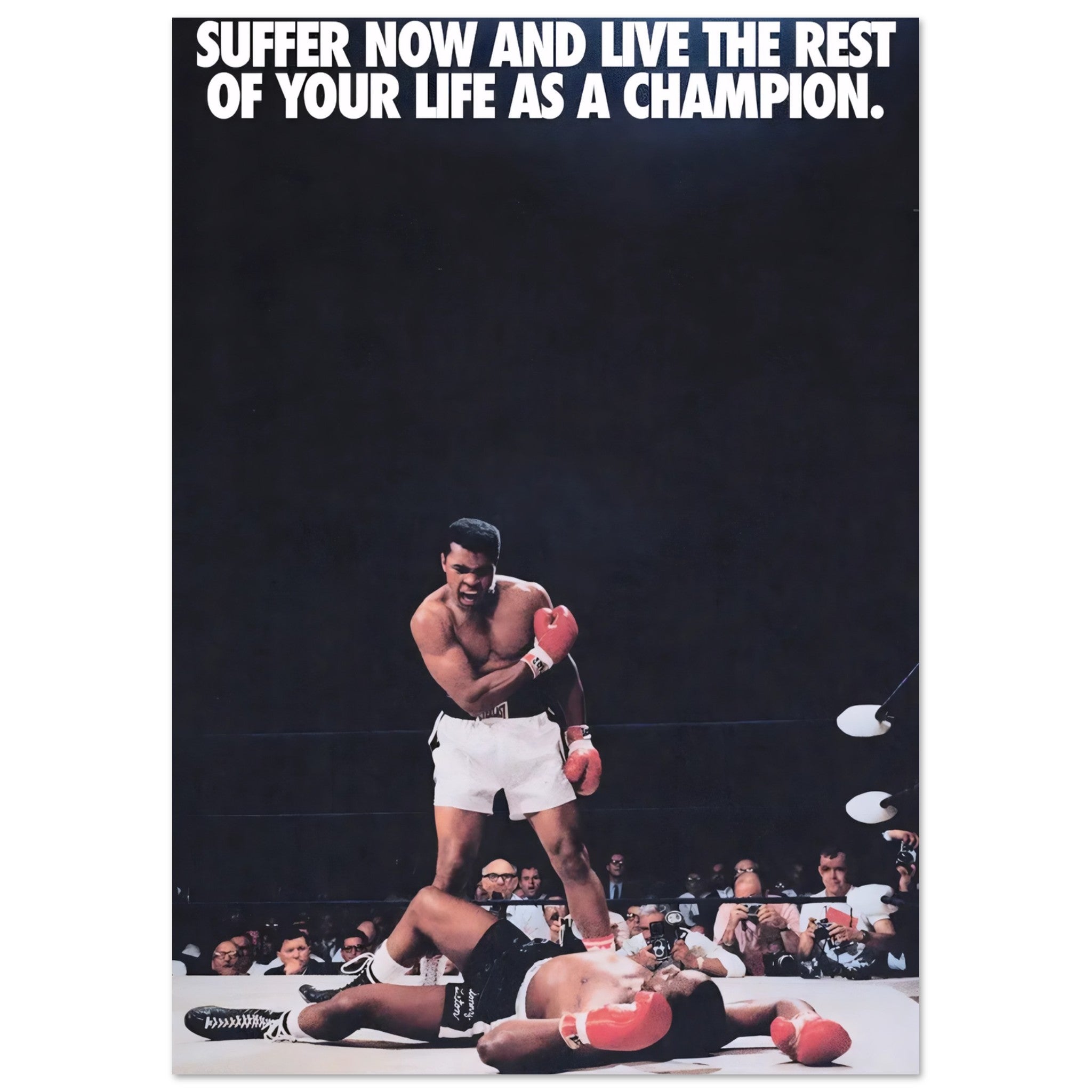 08bfd31e-3b4a-4670-92af-8f4ef35ca10e