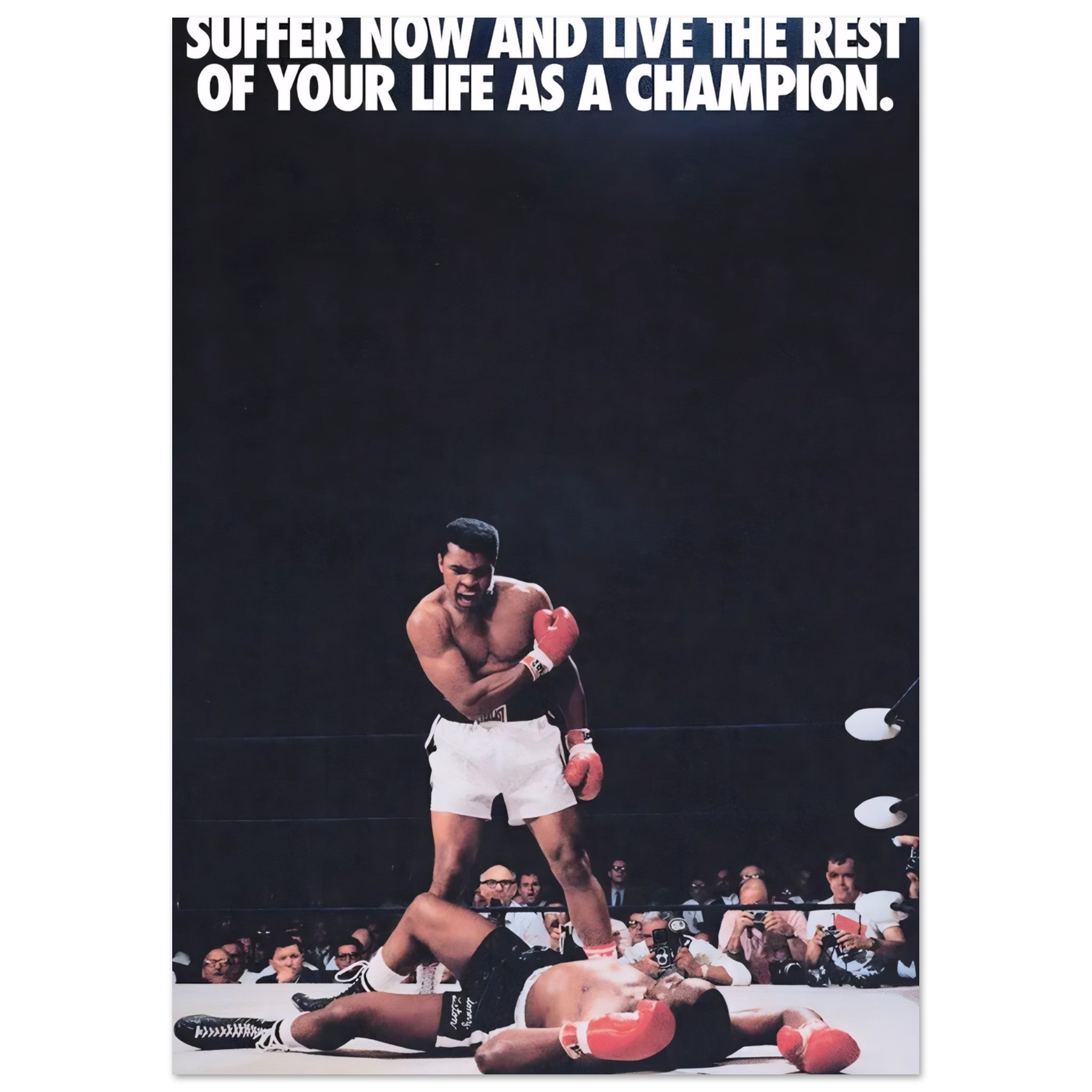 5b4aba69-4b54-46b3-b5bd-431ecee25cfa