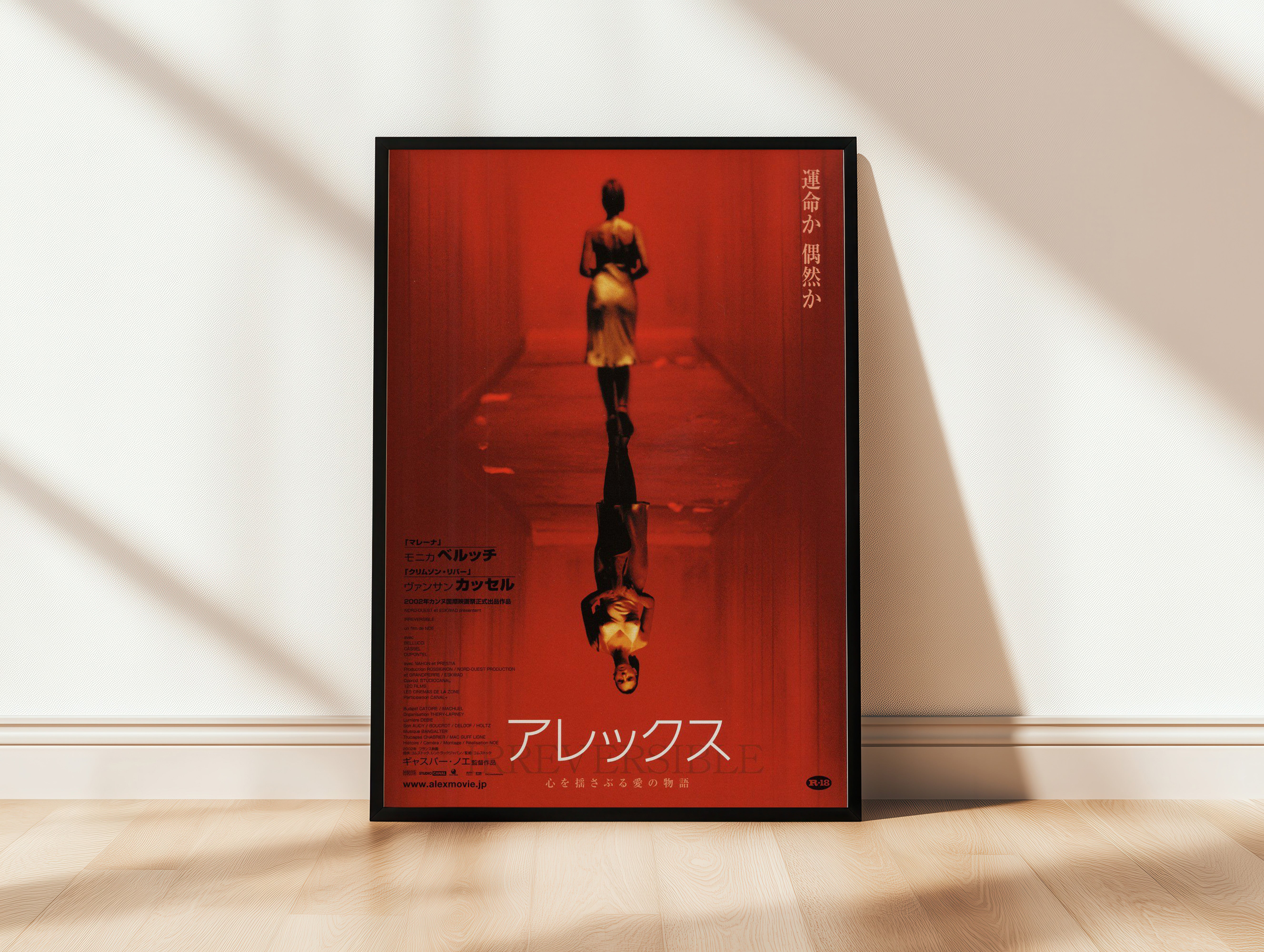 Irreversible Film Poster