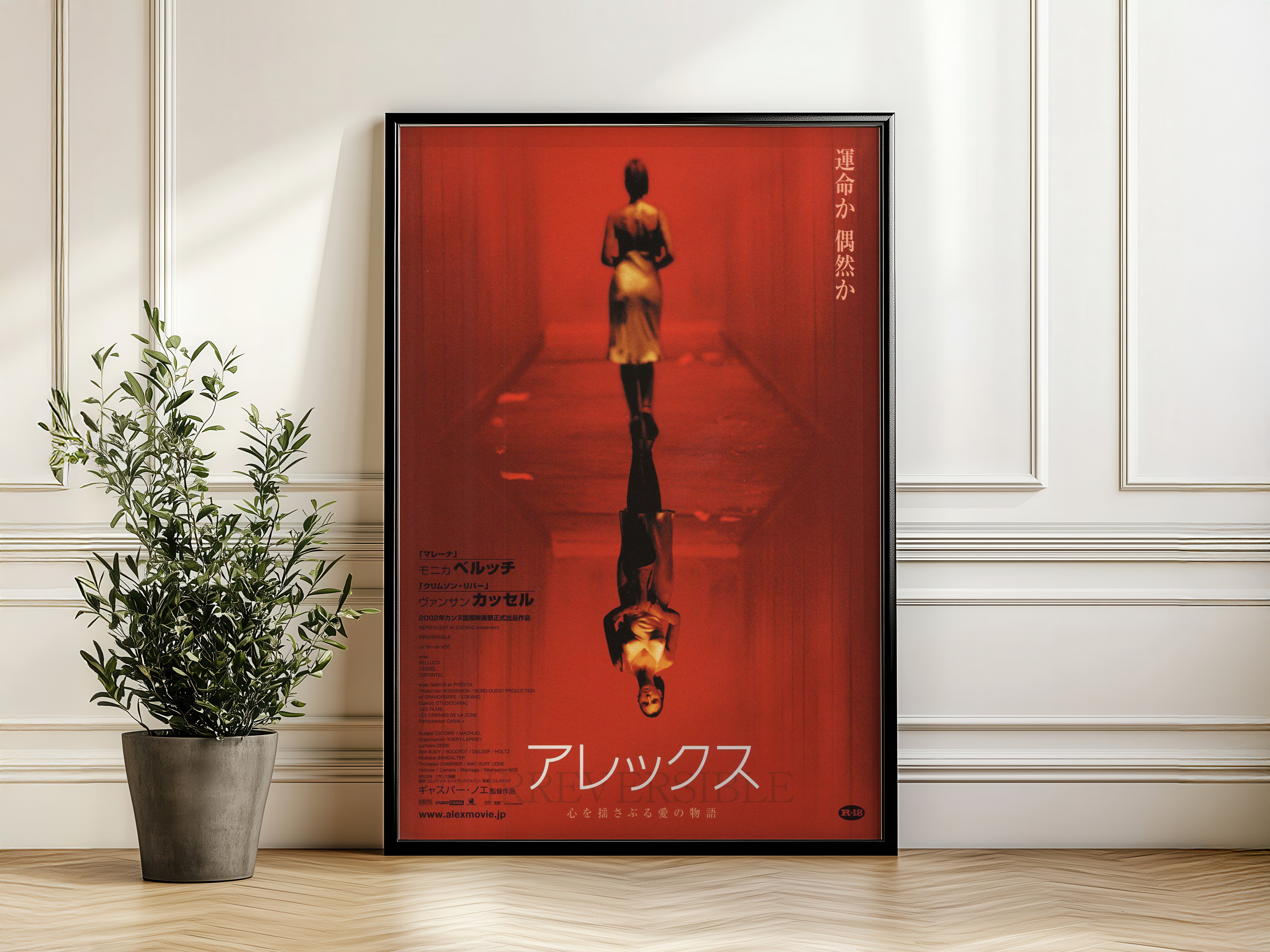 Irreversible Film Poster