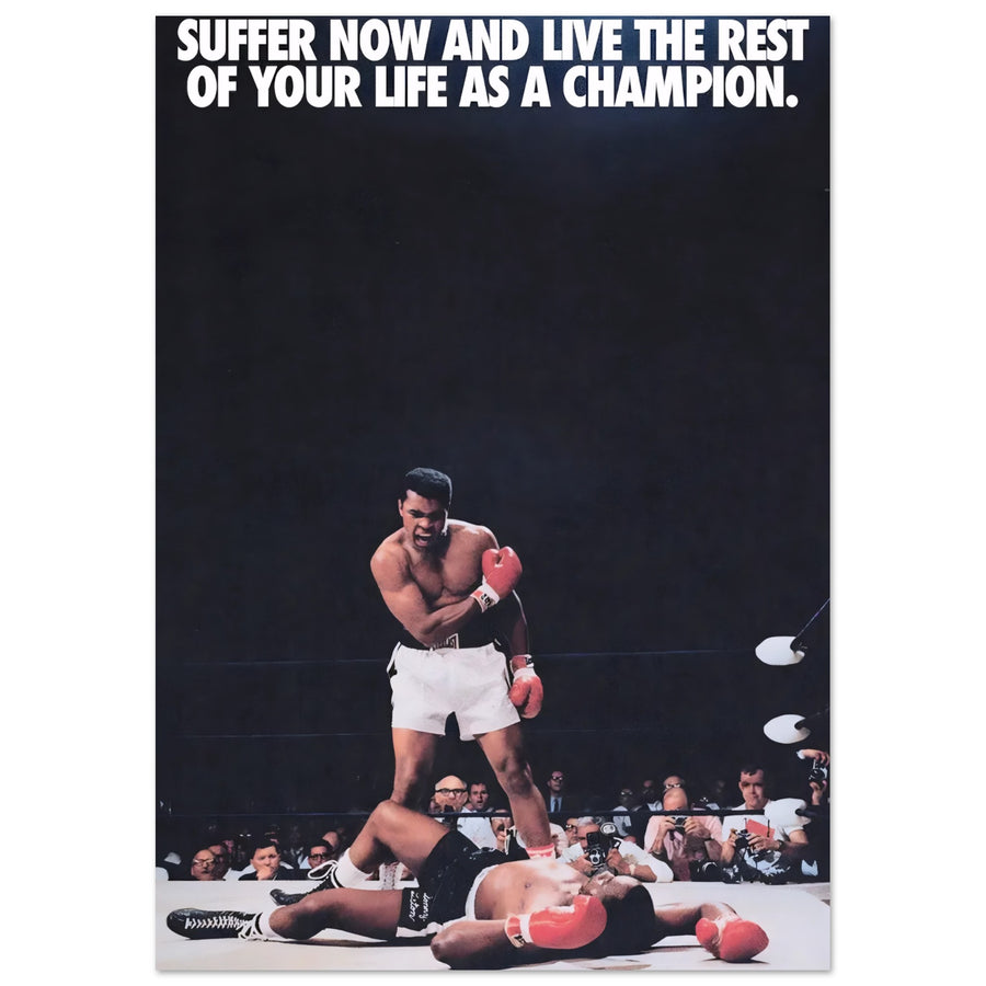 08bfd31e-3b4a-4670-92af-8f4ef35ca10e