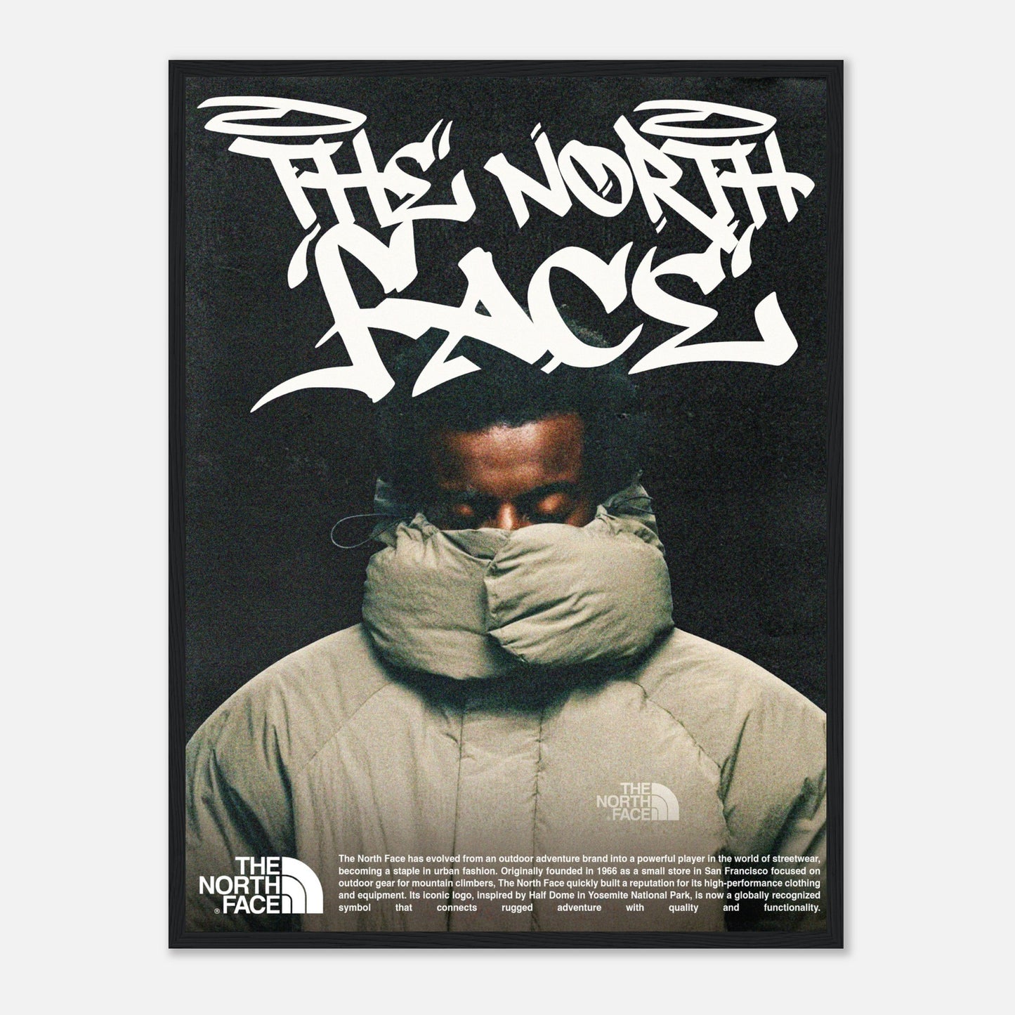 North Face Poster