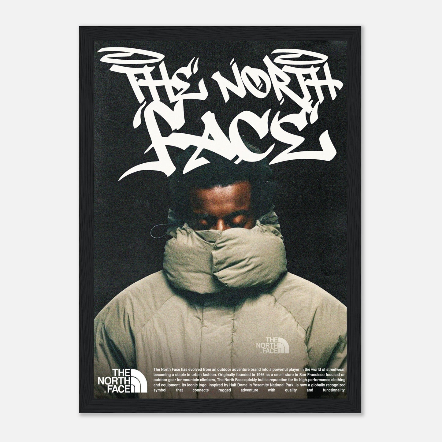 North Face Poster