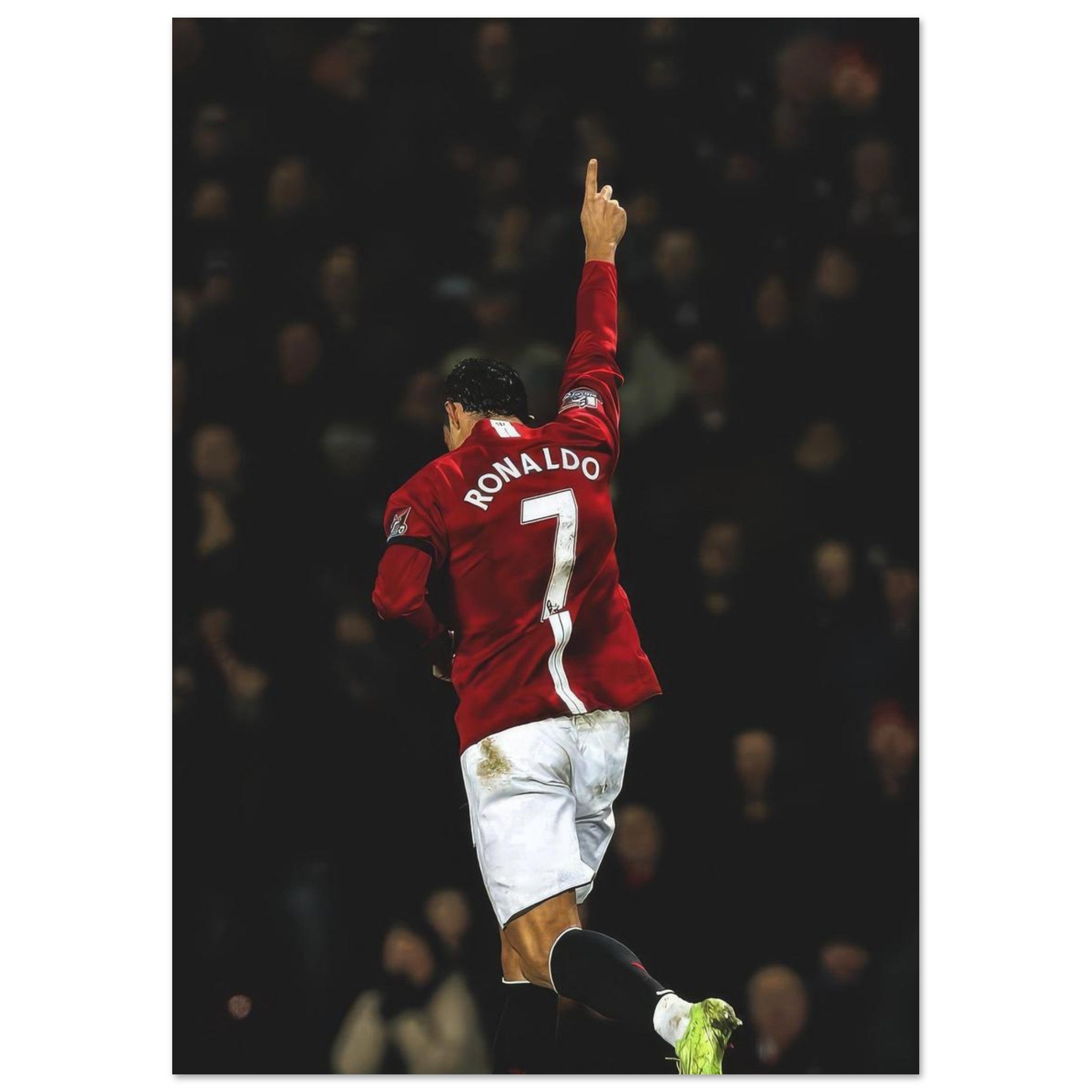 8c2769c8-a67d-4e52-8e66-a0c4feb27a38