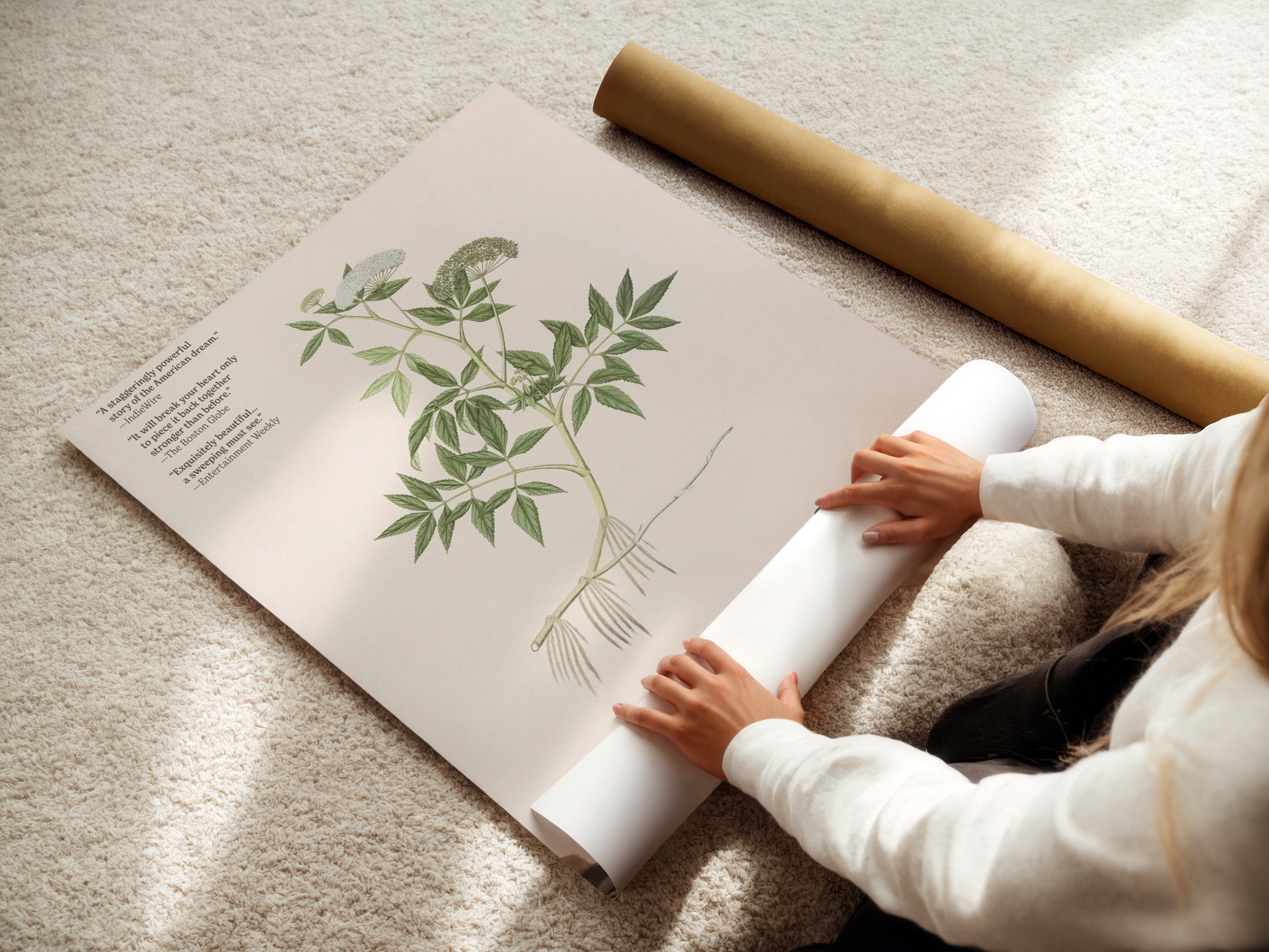 Meadow Minari Memory