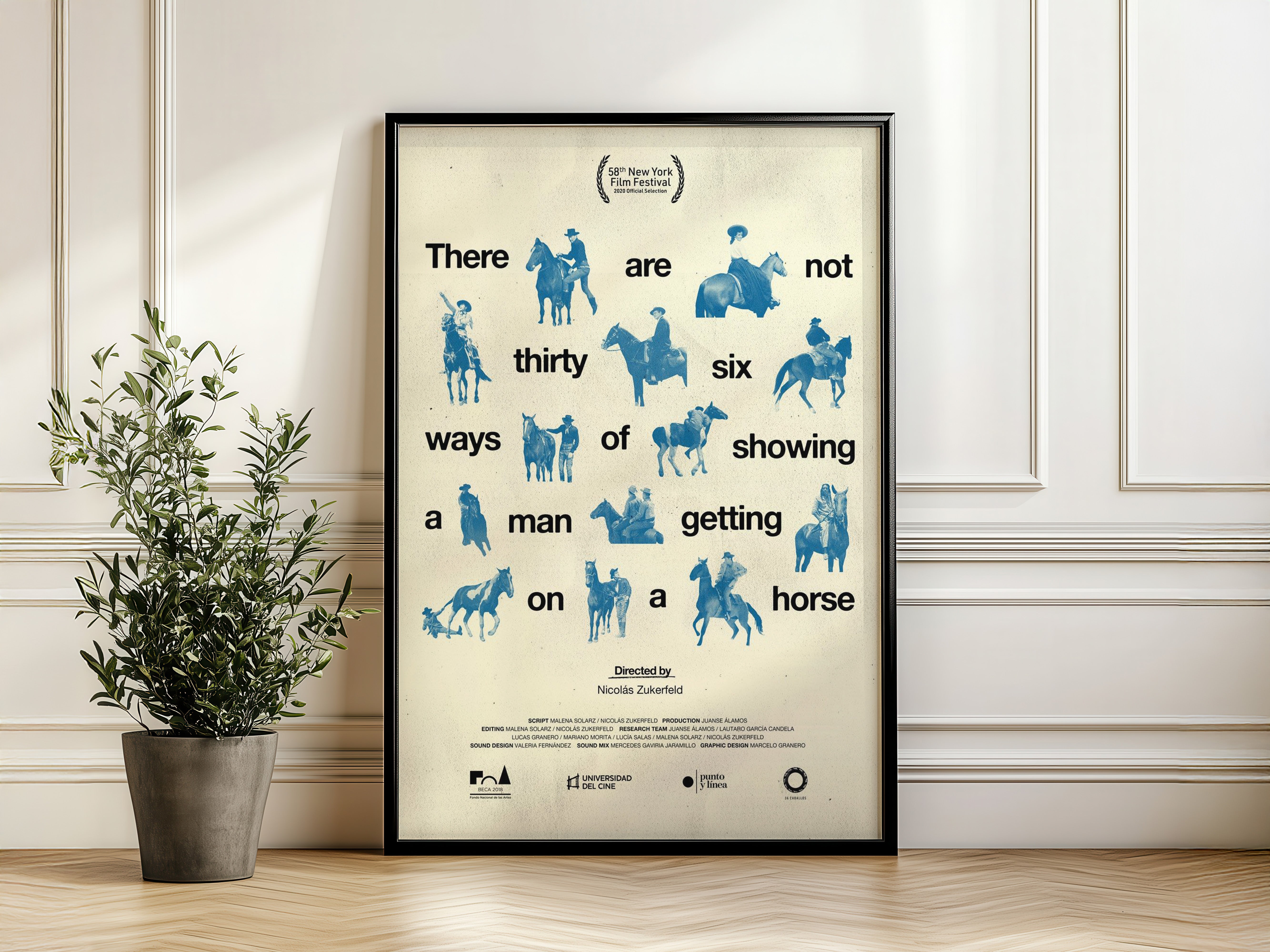 Blue Bridle Blueprint