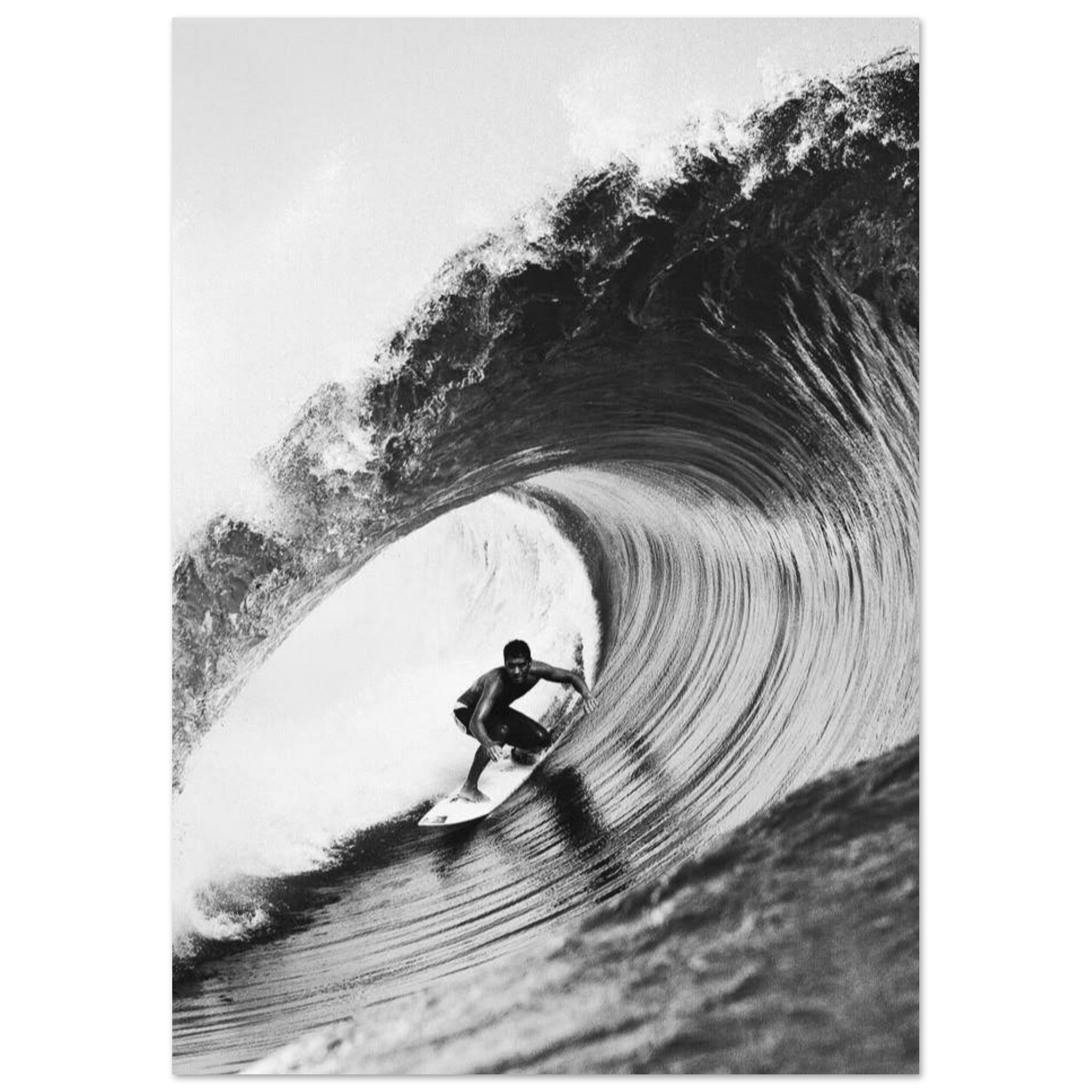 ab637603-6330-4fd6-877b-8284760740fc