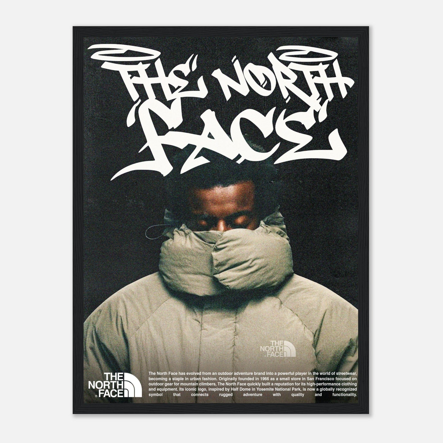 North Face Poster