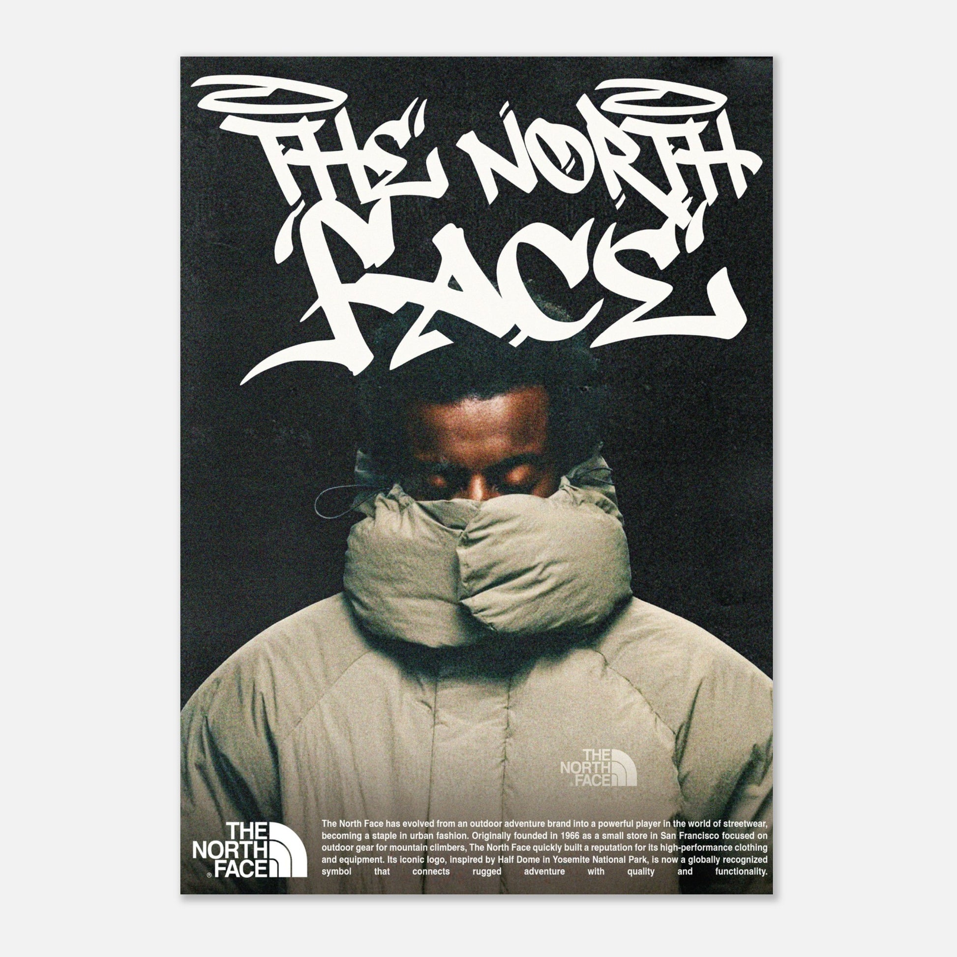 North Face Poster