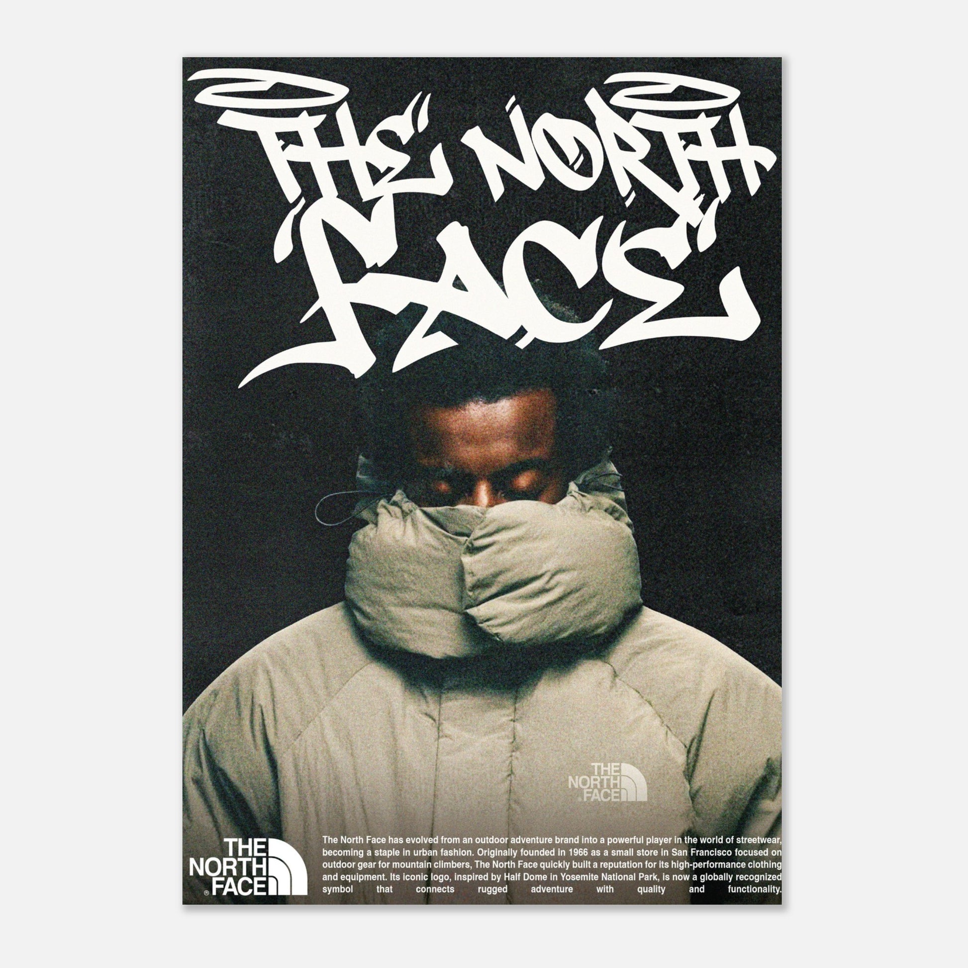 North Face Poster